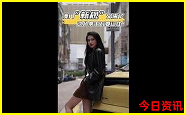 3510网站资料大全使用方法
