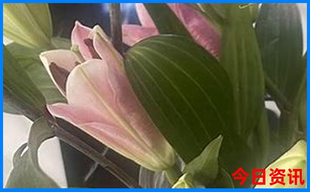 北京王四营附近有什么好玩的地方
